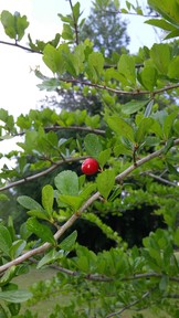 20150510_145913_thumb.jpg