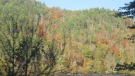 img_0681_thumb.jpg