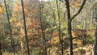 img_0737_thumb.jpg