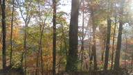 img_0757_thumb.jpg