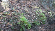 img_0832_thumb.jpg