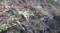 img_0836_thumb.jpg