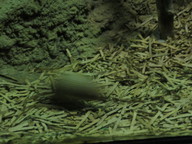 img_0256_thumb.jpg
