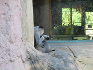 img_0260_thumb.jpg