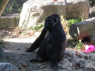 img_0263_thumb.jpg