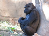 img_0265_thumb.jpg