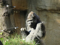img_0266_thumb.jpg