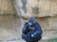 img_0269_thumb.jpg