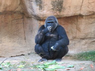 img_0270_thumb.jpg