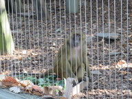 img_0271_thumb.jpg