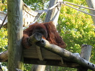 img_0288_thumb.jpg