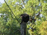 img_0290_thumb.jpg