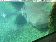 img_0300_thumb.jpg