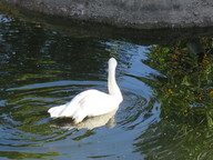 img_0307_thumb.jpg