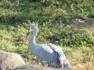 img_0309_thumb.jpg