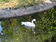 img_0310_thumb.jpg