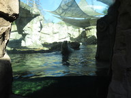 img_0317_thumb.jpg