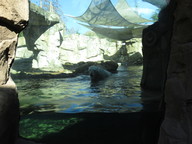 img_0318_thumb.jpg