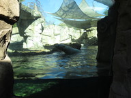 img_0319_thumb.jpg
