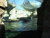 img_0320_thumb.jpg