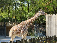 img_0326_thumb.jpg