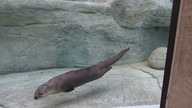 img_0559_thumb.jpg