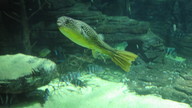 img_0592_thumb.jpg