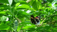 img_0599_thumb.jpg