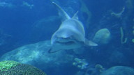 img_0626_thumb.jpg