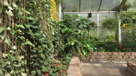 img_1403_thumb.jpg