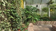 img_1406_thumb.jpg