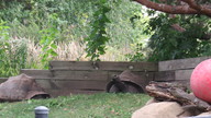 img_1558_thumb.jpg