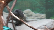 img_1562_thumb.jpg