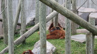 img_1582_thumb.jpg